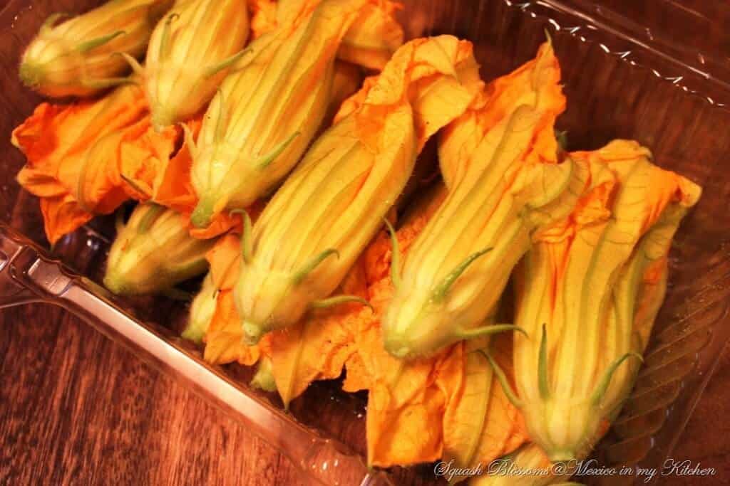 Flores de calabaza