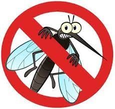 ¿Cómo prevenir el Dengue?